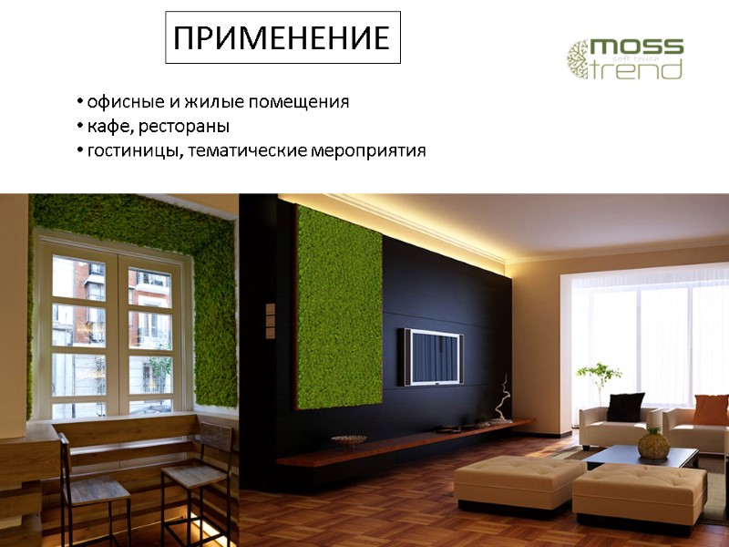 ПРИМЕНЕНИЕ  офисные и жилые помещения  кафе, рестораны  гостиницы, тематические мероприятия